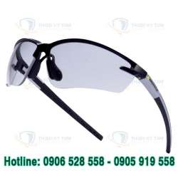 KÍNH DELTAPLUS FUJI2